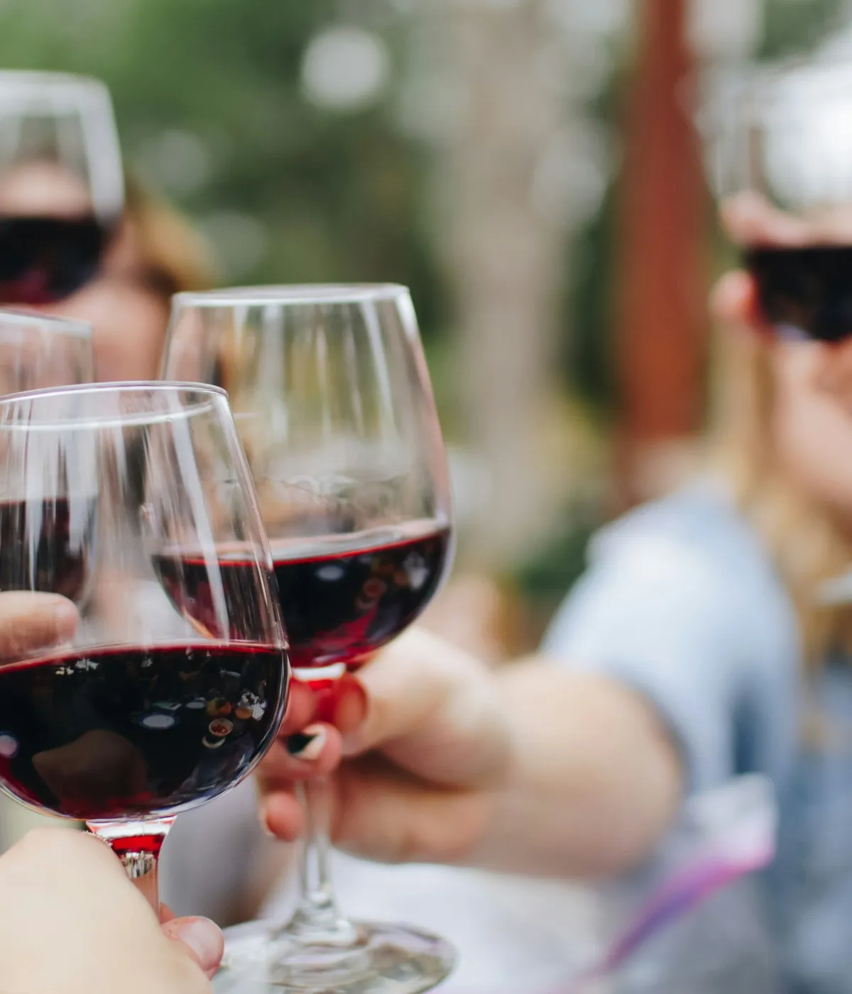 Gläser Rotwein beim Anstoßen in der Vinothek